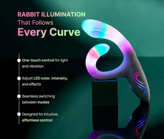Paradise - Illumination the Rabbit (US)
